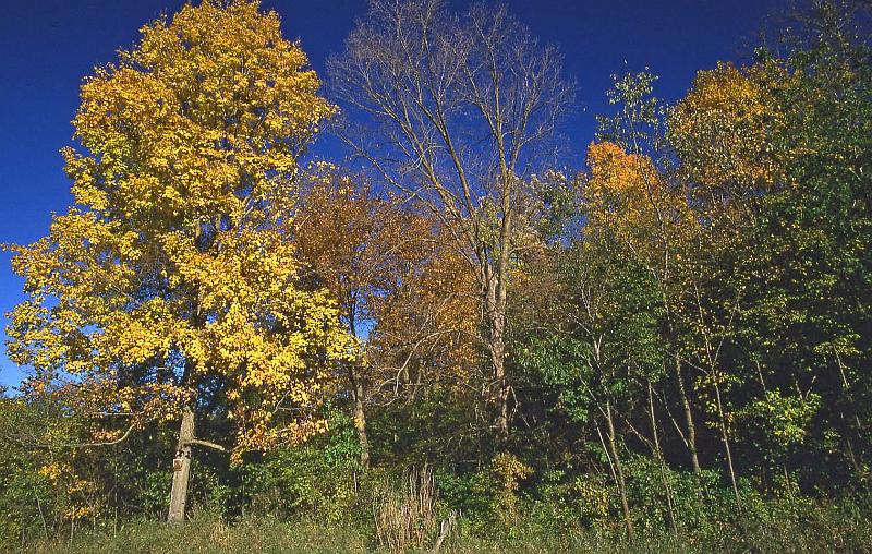 1993-08 Hager City 08.jpg